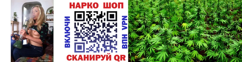 Псилоцибиновые грибы Кириллов