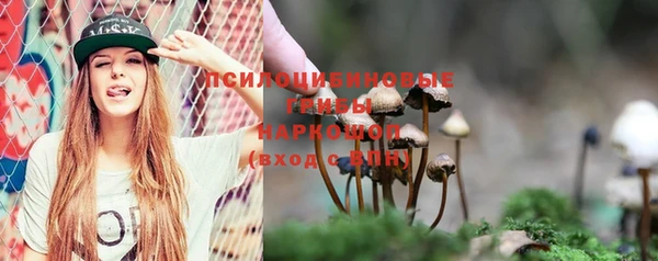 стафф Горнозаводск