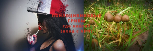 мет Горняк