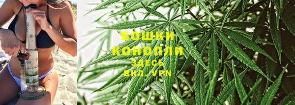 стафф Горнозаводск